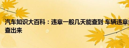 汽车知识大百科：违章一般几天能查到 车辆违章多长时间能查出来