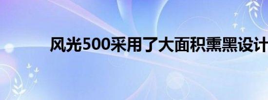 风光500采用了大面积熏黑设计