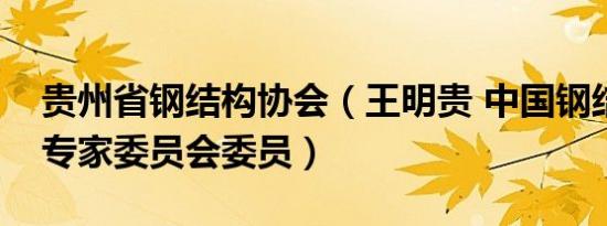 贵州省钢结构协会（王明贵 中国钢结构协会专家委员会委员）