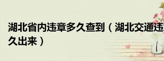 湖北省内违章多久查到（湖北交通违章一般多久出来）