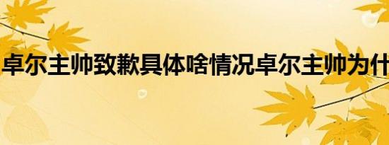 卓尔主帅致歉具体啥情况卓尔主帅为什么致歉