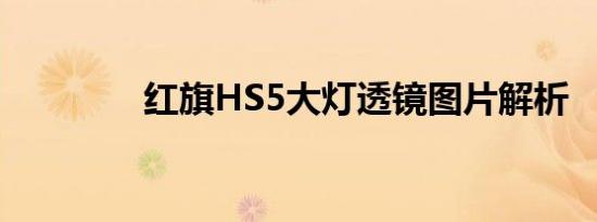 红旗HS5大灯透镜图片解析