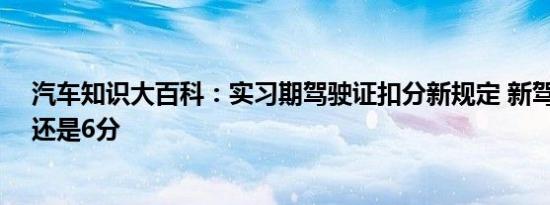 汽车知识大百科：实习期驾驶证扣分新规定 新驾照有12分还是6分