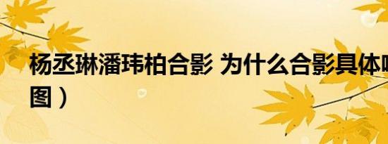 杨丞琳潘玮柏合影 为什么合影具体啥情况（图）