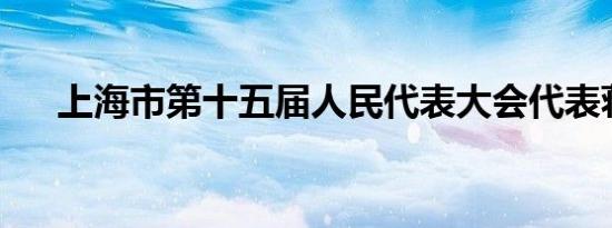 上海市第十五届人民代表大会代表蒋洪