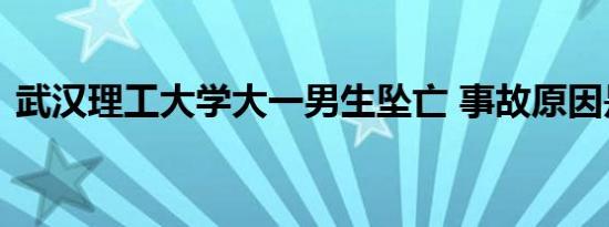 武汉理工大学大一男生坠亡 事故原因是什么