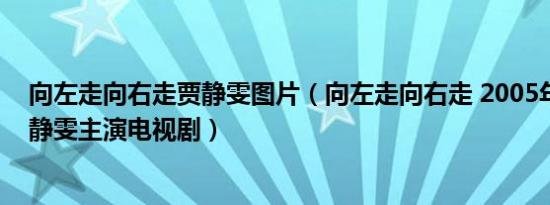 向左走向右走贾静雯图片（向左走向右走 2005年陆毅、贾静雯主演电视剧）