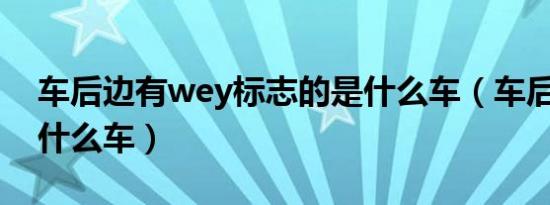 车后边有wey标志的是什么车（车后标WEY什么车）