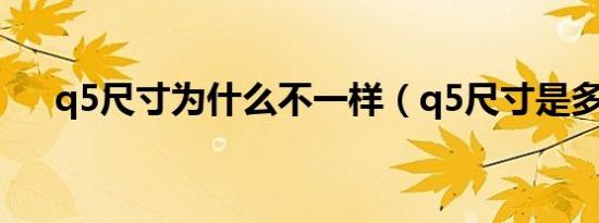 q5尺寸为什么不一样（q5尺寸是多少）