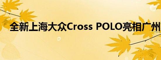 全新上海大众Cross POLO亮相广州车展 