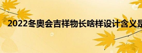 2022冬奥会吉祥物长啥样设计含义是什么