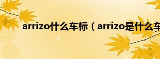 arrizo什么车标（arrizo是什么车）