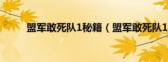 盟军敢死队1秘籍（盟军敢死队1）