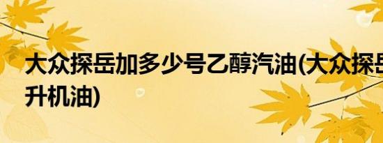 大众探岳加多少号乙醇汽油(大众探岳加多少升机油)