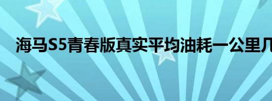 海马S5青春版真实平均油耗一公里几毛钱