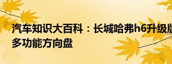 汽车知识大百科：长城哈弗h6升级版自己改多功能方向盘