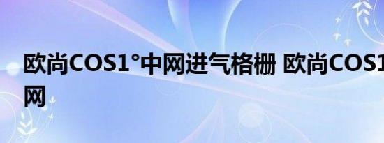 欧尚COS1°中网进气格栅 欧尚COS1°星空中网