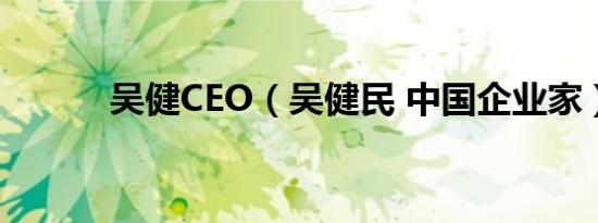 吴健CEO（吴健民 中国企业家）