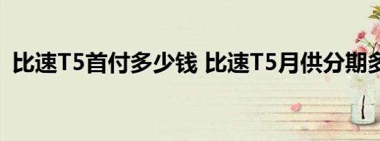 比速T5首付多少钱 比速T5月供分期多少钱 