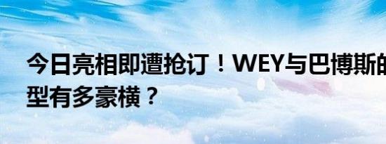 今日亮相即遭抢订！WEY与巴博斯的合作车型有多豪横？