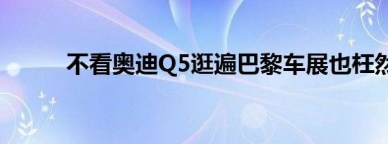 不看奥迪Q5逛遍巴黎车展也枉然