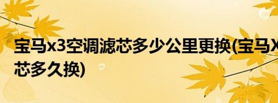 宝马x3空调滤芯多少公里更换(宝马X3空调滤芯多久换)