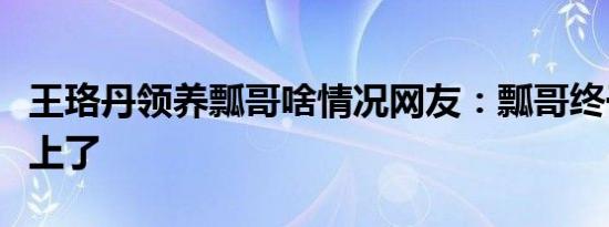 王珞丹领养瓢哥啥情况网友：瓢哥终于给安排上了