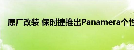 原厂改装 保时捷推出Panamera个性组件