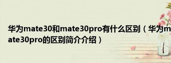 华为mate30和mate30pro有什么区别（华为mate30和mate30pro的区别简介介绍）