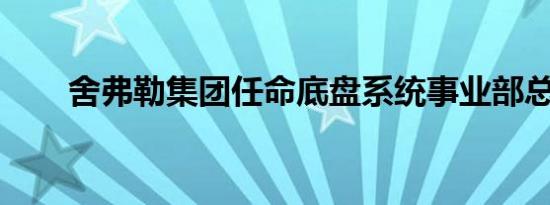 舍弗勒集团任命底盘系统事业部总裁