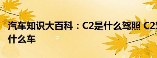 汽车知识大百科：C2是什么驾照 C2驾照能开什么车