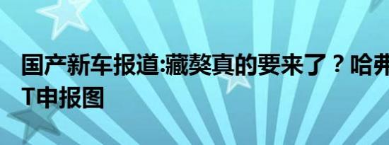 国产新车报道:藏獒真的要来了？哈弗大狗2.0T申报图