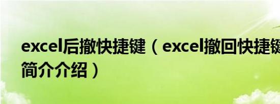 excel后撤快捷键（excel撤回快捷键是什么简介介绍）