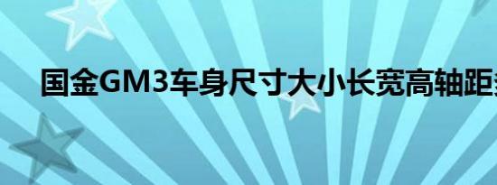 国金GM3车身尺寸大小长宽高轴距多少