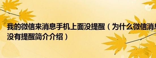 我的微信来消息手机上面没提醒（为什么微信消息来了手机没有提醒简介介绍）