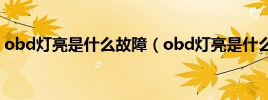 obd灯亮是什么故障（obd灯亮是什么故障）