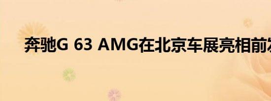 奔驰G 63 AMG在北京车展亮相前发布