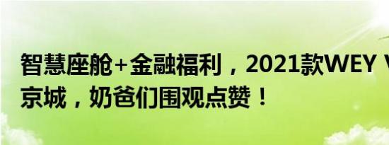 智慧座舱+金融福利，2021款WEY VV6亮相京城，奶爸们围观点赞！