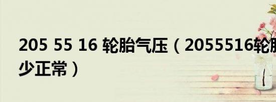 205 55 16 轮胎气压（2055516轮胎气压多少正常）