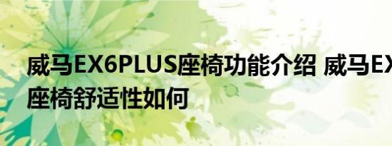 威马EX6PLUS座椅功能介绍 威马EX6PLUS座椅舒适性如何 