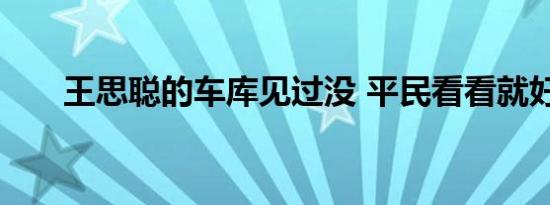 王思聪的车库见过没 平民看看就好了