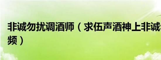 非诚勿扰调酒师（求伍声酒神上非诚勿扰的视频）