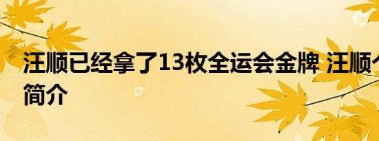 汪顺已经拿了13枚全运会金牌 汪顺个人资料简介