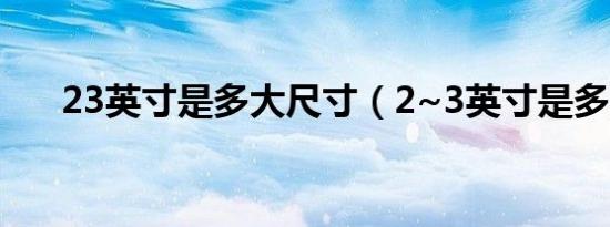 23英寸是多大尺寸（2~3英寸是多大）