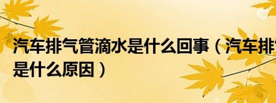 汽车排气管滴水是什么回事（汽车排气管滴水是什么原因）