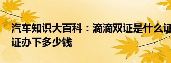 汽车知识大百科：滴滴双证是什么证 滴滴双证办下多少钱