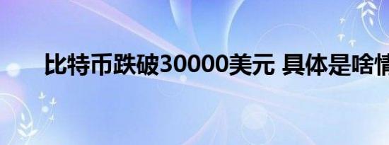 比特币跌破30000美元 具体是啥情况