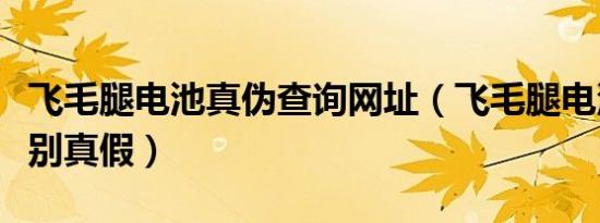 飞毛腿电池真伪查询网址（飞毛腿电池怎样辨别真假）