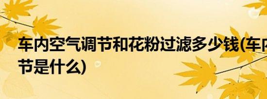 车内空气调节和花粉过滤多少钱(车内空气调节是什么)