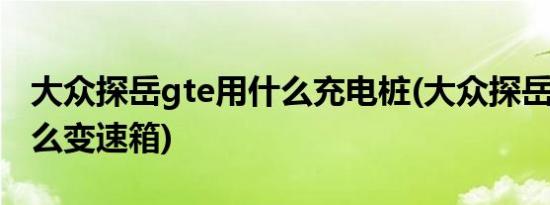 大众探岳gte用什么充电桩(大众探岳gte用什么变速箱)